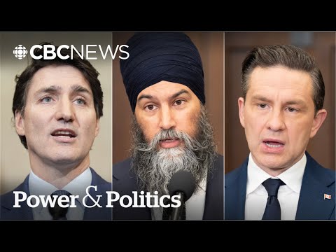 How should Trudeau, Poilievre and Singh respond to Trump’s tariff war? | Power Panel